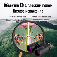 Бинокль Eyeskey Stellar 10x42