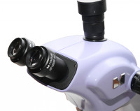Микроскоп стереоскопический MAGUS Stereo 9T