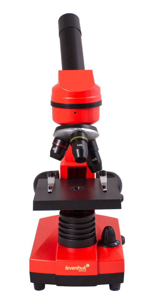 Микроскоп Levenhuk Rainbow 2L Orange\Апельсин