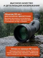 Зрительная труба Levenhuk New Blaze ED 100