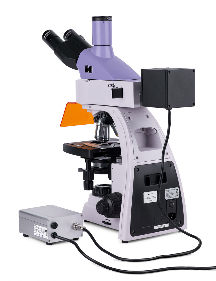 Микроскоп люминесцентный цифровой MAGUS Lum D400L