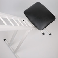 Стул Asterion VariSeat WH для астрономических наблюдений (белый) Стул Asterion VariSeat WH для астрономических наблюдений (белый)