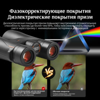 Бинокль Eyeskey Wave ED 12x50