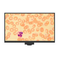 Камера цифровая MAGUS Vision 80 LCD