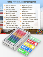 Микроскоп цифровой Levenhuk LabZZ DM200 LCD
