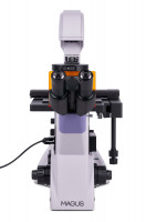 Микроскоп люминесцентный инвертированный цифровой MAGUS Lum VD500 LCD