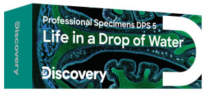 Набор микропрепаратов Levenhuk Discovery Prof DPS 5. «Жизнь в капле воды»