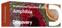 Набор микропрепаратов Levenhuk Discovery Prof DPS 5. «Амфибия» Набор микропрепаратов Levenhuk Discovery Prof DPS 5. «Амфибия»