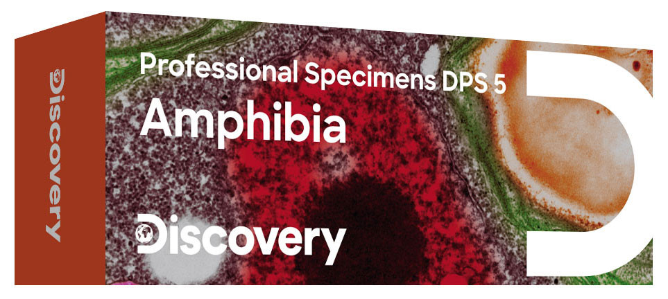 Набор микропрепаратов Levenhuk Discovery Prof DPS 5. «Амфибия»