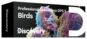 Набор микропрепаратов Levenhuk Discovery Prof DPS 5. «Птицы»
