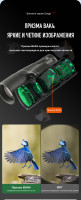 Бинокль Eyeskey Surge 10x50