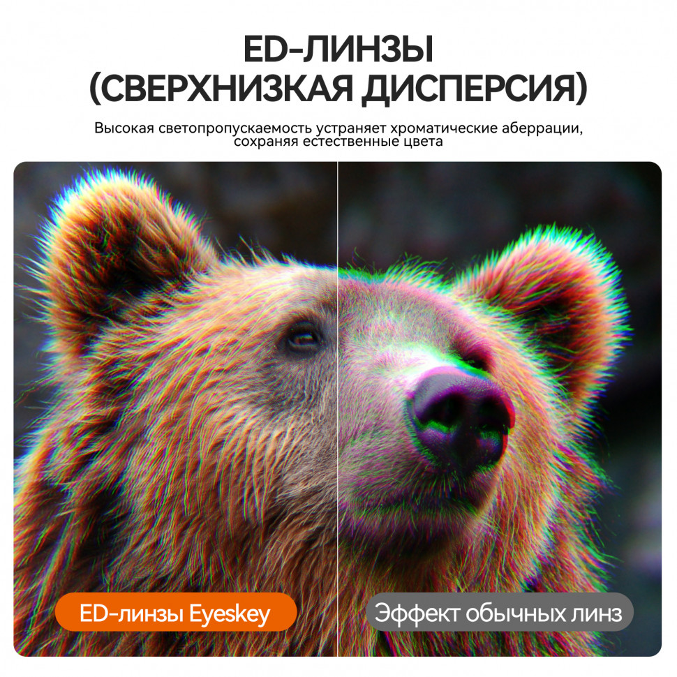 Бинокль Eyeskey Vigil 10x42